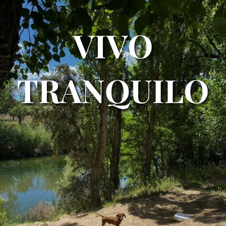 vivo tranquilo | Boomplay Music