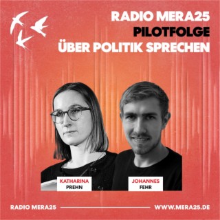 Über Politik sprechen | Radio MERA25 Pilotfolge