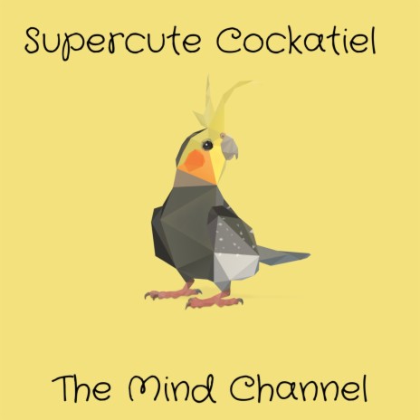 Supercute Cockatiel | Boomplay Music
