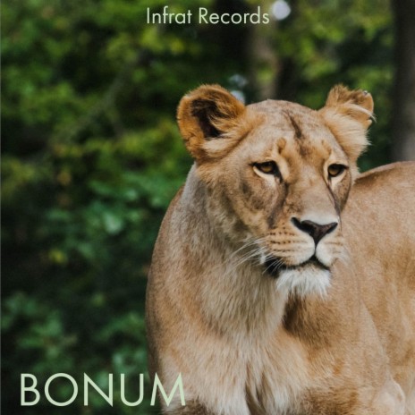 Bonum