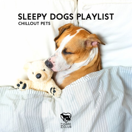 Soothing Music for Puppy