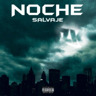 Noche Salvaje