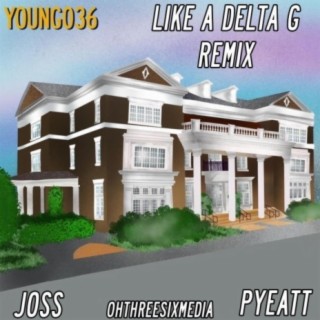 Like A Delta G (Remix)