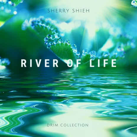 River of Life (Ambient Version) | Boomplay Music