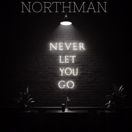 NEVER LET YOU GO | Boomplay Music