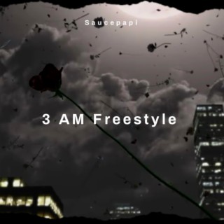 3 AM Freestyle