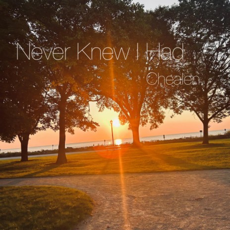 Never Knew I Had | Boomplay Music