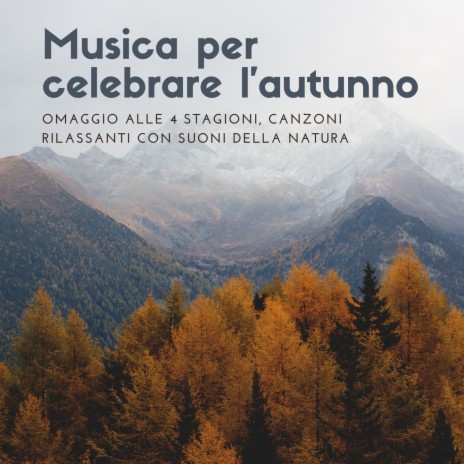 Tranquilla musica rilassante | Boomplay Music