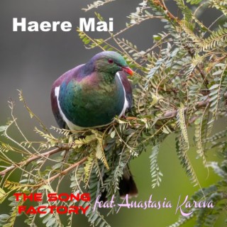 Haere Mai ft. Anastasia Kareva lyrics | Boomplay Music