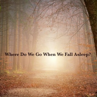 Where Do We Go When We Fall Asleep? lyrics | Boomplay Music