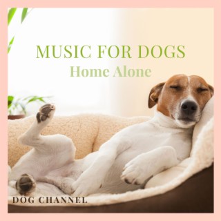 Music for Dogs - Home Alone