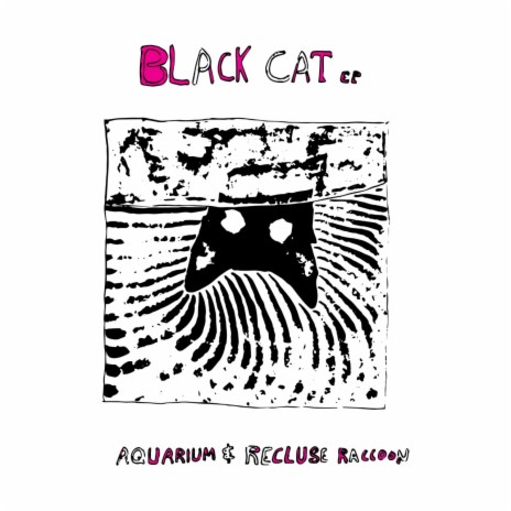 Black Cat ft. Recluse Raccoon