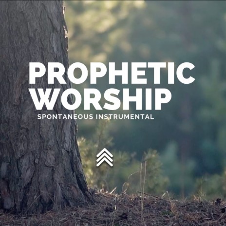 Prophetic Worship Spontaneous Instrumental