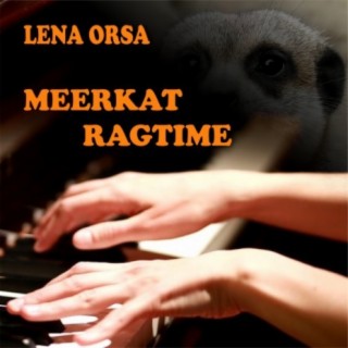 Meerkat Ragtime