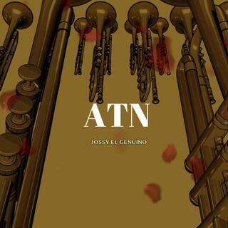 ATN lyrics | Boomplay Music