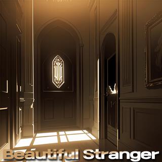 Beautiful Stranger lyrics | Boomplay Music