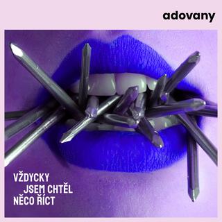 Vždycky jsem chtěl něco říct lyrics | Boomplay Music