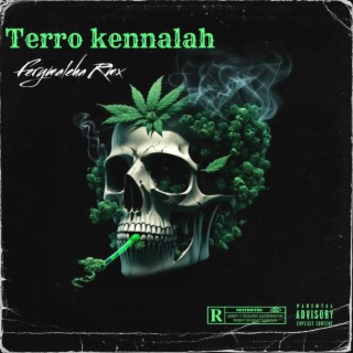 Terro Kennalah PsyTrance