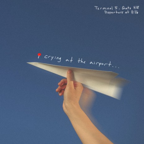 Crying At The Airport | Boomplay Music