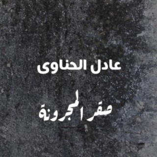 عادل الحناوى