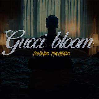 GUCCI BLOOM lyrics | Boomplay Music