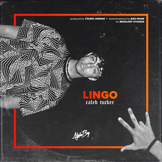 LINGO lyrics | Boomplay Music