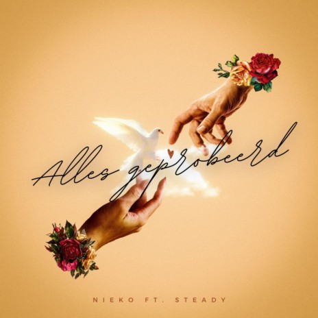 ALLES GEPROBEERD (Special Version) ft. Steady & TT