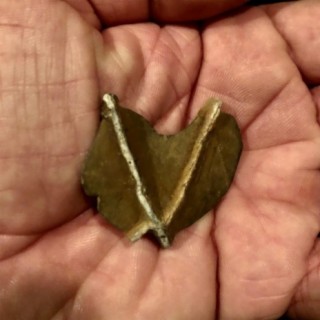 Little Pagan Heart