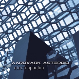 Aardvark Asteroid