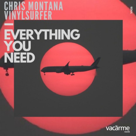 Everything You Need ft. Vinylsurfer | Boomplay Music