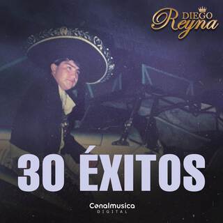 Treinta Éxitos (Vol. 4)