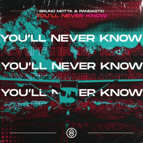 You'll Never Know (Extended Mix) ft. Pandastic | Boomplay Music