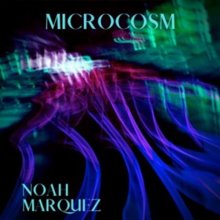 Microcosm