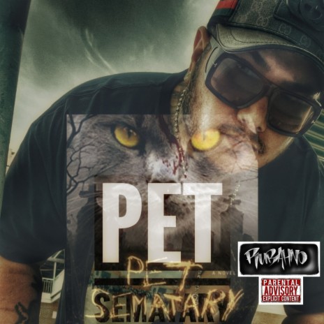 Pet Sematary Flow | Boomplay Music