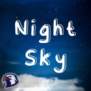 Night Sky