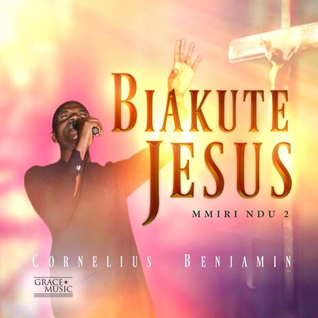 I MEELA JESUS NA ABIA | Boomplay Music