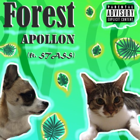 Forest ft. Stass