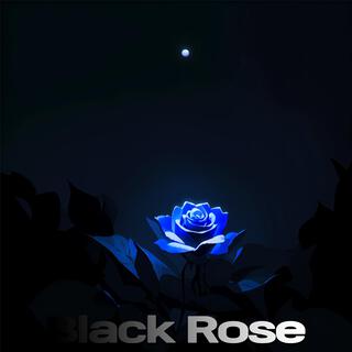 Black Rose lyrics | Boomplay Music