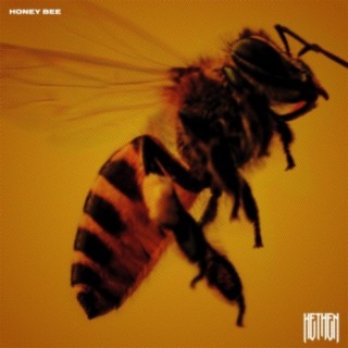 Honey Bee