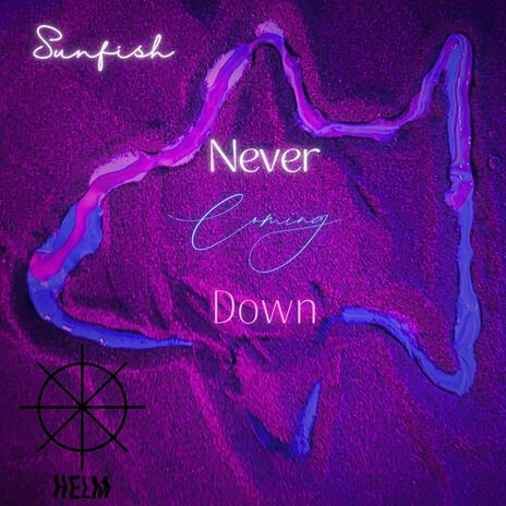 Never Coming Down | Boomplay Music