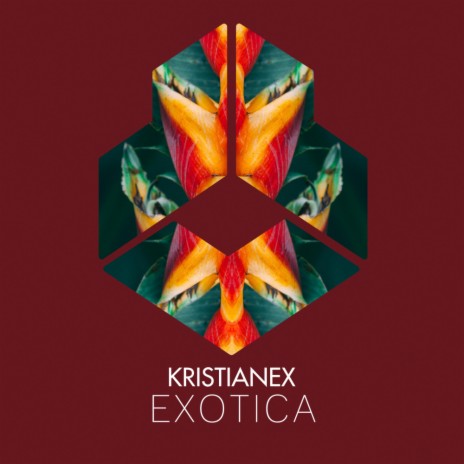 Exotica (Extended Mix) | Boomplay Music