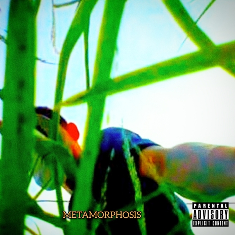 Metamorphosis | Boomplay Music