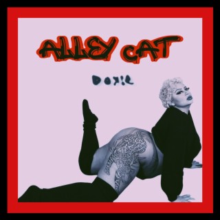 Alley Cat lyrics | Boomplay Music