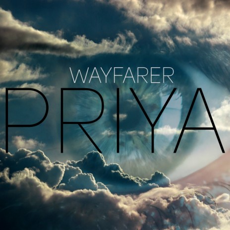 Wayfarer | Boomplay Music