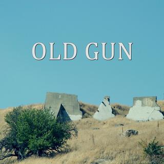 Old Gun II