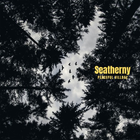 Seatherny | Boomplay Music