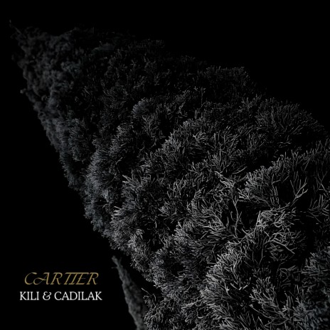 CARTIER ft. Cadilak | Boomplay Music