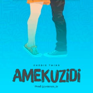 Amekuzidi