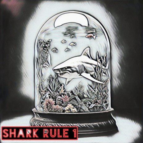 Shark Rule 1 | Boomplay Music