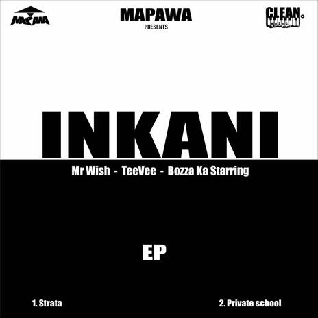 Inkani (Private School) ft. Mr Wish, TeeVee, Bozza ka starring & Spetla | Boomplay Music